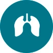 Lung Organoids