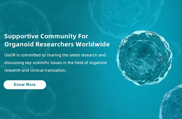 Supportive Community For Organoid Researchers Worldwide