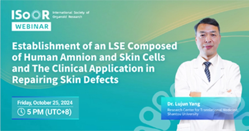 Establishment  and Applications of Skin Organoid Model